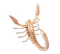 ORFOFE Puzzle Bois DIY Insecte Modèle Artisanat Educatif pour Garçon Fille Intelligence Créative