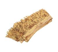 ORFOFE Ruban À Paillettes Doré Pour Décoration De Costume De Danse Latine Accessoires De Pompons Pour Vêtements Et Projets DIY