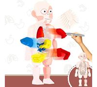Organe éducatif D'anatomie, Jouet assemblé à Monter Soi-même pour Enfants, Kits d'apprentissage Scientifique, Jeu de Mannequin Effrayant et Passionnant pour Outils Pédagogiques de (Un Seul