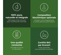 Organic Cineole Rosemary (Rosmarinus Officinalis-Ct Cineol)-10 Ml-Chemotyped And Ab Certified Essential Oil-Natural Defenses--Made In France