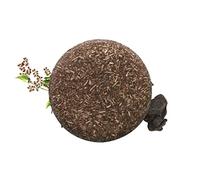 Organic Grey Reverse Shampoo Bar-Bar Shampoo For Hair, Natural Darkening Shampoo Bar, 100% Natural Organic Conditioner And Repair Care, Volumizing & Moisturizing Shampoo Bar. (3 Pcs)