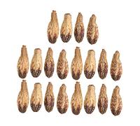 Organic Parrot Chew Nuts | 5 Bags Dried Nut for Boredom Relief & Beak Sharpening | Home Decorative Bird Toy | 100Pcs Total, Extended - Term Storage