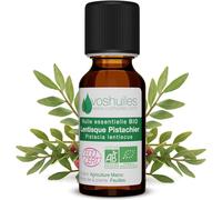 Organic Pistachio Lentisque Essential Oil 5 Ml-Warm Fragrance-Renowned For Its Virtues-Quality Essential Oils-100% Pure And Natural-Hebbd And Ecocert Certified