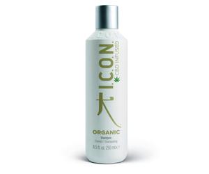 Organic Shampoo