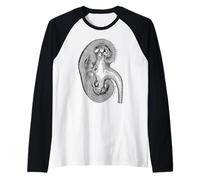 Organigramme Rein Vintage Anatomie Humaine Rein Manche Raglan