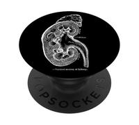 Organigramme Rein Vintage Anatomie Humaine Rein PopSockets PopGrip Adhésif