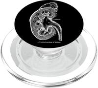 Organigramme Rein Vintage Anatomie Humaine Rein PopSockets PopGrip pour MagSafe