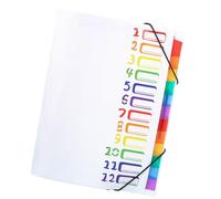 Organisateur de fichiers à 12 poches extensible - Classeur de documents - Écriture - Taille de fichier - Organiseur extensible - Fermeture élastique - Rangement de documents