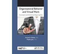 Organizational Behavior And Virtual Work