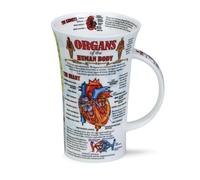 (Organs) - Dunoon Glencoe Biology Mug (Organs)
