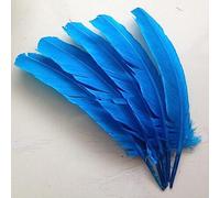 ORGEFY 25-30 cm 50 pcs/lot Plume d'oie Bleu lac/Plume de Dinde 10-12 Pouces Plumes d'oie panaches décorations de Chapeau de fête-par défaut