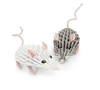 Origami 3D 501836 - Kit de sculpture en papier 3D ORIGAMI, dès 8 ans, multicolore