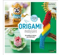 Origami modulaire 20 modèles à réaliser pour déstresser - Orlane Mulliez - Leduc Creatif L'inedite - broché - Guide