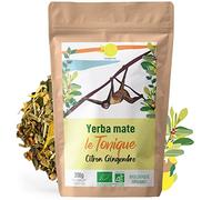 ORIGEENS YERBA MATE BIO CITRON GINGEMBRE 200g | Maté Gingembre Citron Le Tonique | Yerba Maté Bio Non Torréfié Sans Poussière | Boisson Energie et Detox