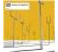 Origin of symmetry