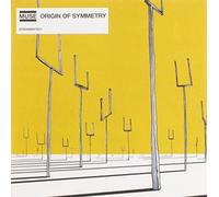 Origin of Symmetry