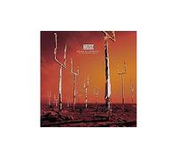 Origin Of Symmetry : XX Anniversary Edition Vinyle