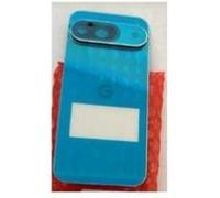 Original Cache Batterie Vitre Arrière Back Cover Porcelaine Pour Google Pixel 9 G949-00949-00 G