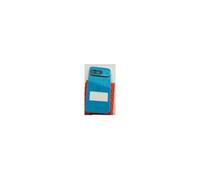 Original Cache Batterie Vitre Arrière Back Cover Porcelaine Pour Google Pixel 9 G949-00949-00 G