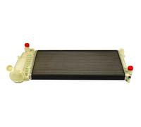 Original MAXGEAR Radiateur Refroidissement Moteur AC230059 Pour Fiat Lancia
