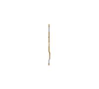 Original Nappe FRC pour Galaxy A57 5G (A576B) GH59-15979A
