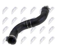 Original NTY Tuyau De Refroidissement GPP-NS-053 Pour Nissan