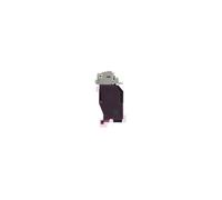 Originale Nappe NFC pour Galaxy S22 Plus S906 GH97-27174A
