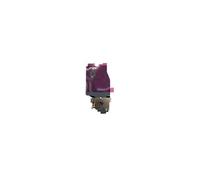 Originale Nappe NFC pour Galaxy S25 Plus GH97-30405A