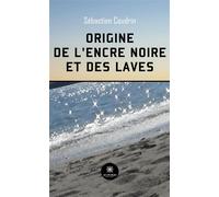 Origine de l'encre noire et des laves - Sébastien Coudrin - Le Lys Bleu - broché - Roman