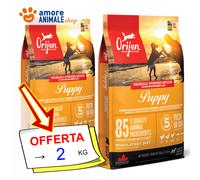 Orijen Chien PUPPY → 2 / 6 / 11,4 Kg - Croquettes Pour Chiots, Chien, Chiens