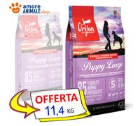 ORIJEN Chien Puppy Grandes 11,4 KG - Croquettes pour Chiots De Couper