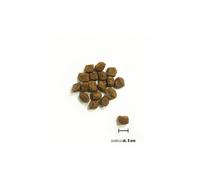 ORIJEN CHIOTS DE PETITES RACES 4,5 KG