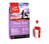 Orijen Dog Puppy Large 11,4kg+Surprise