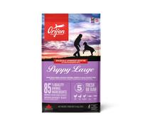 Orijen Croquettes Puppy Large 11,4 kg