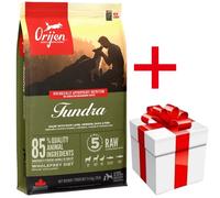 ORIJEN Tundra Dog 6kg+Surprise