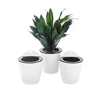 ORIMERC Lot de 3 Pots de jardinière Suspendus à arrosage Automatique Fenêtre de Jardin Verticale Montage Suspendu Herbes de Cuisine Balcon Balustrade Étagère Clôture Chambre Treillis (3*Petit)