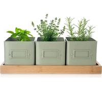 ORION Pot à herbes vertes 115 X 115 cm + dessous de verre Métal/Bambou 310629