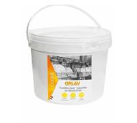 ORLAV - Pastilles lave-vaisselle professionnelle - x250 pastilles