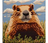 ORLUMY Kit Crochet De Verrouillage Tapis Diy Broderie Pour, Vue Lointaine De La Marmotte, 43×43Cm Kit Tapis Point Noué À Faire Pour Débutants,Adultes Ou Enfants,Latch Hook Canevas Coussin Point