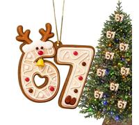 Ornament - Acrylic Two Dimensional Number 67 Item, Funny Yuletide Accent, Ready Drape Rope Feature for Thanksgiving Festive Car Display, Holiday Hanging Accessory, Multi Color
