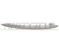 Prasco Baguette et bande protectrice de grille de radiateur BM0482127