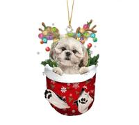 Ornement d ' Arbre de noël pour Chien, Esprits de noël, décoration Suspendue en Acrylique pour Porte de Maison, Festival, décorations de Maisons de Vacances