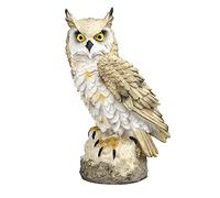 Ornement de jardin Décoration de hibou Cadeaux de jardinage pour les femmes Collection de matériaux en résine Ornements de hibou pour la maison Statues de jardin Animaux d'extérieur Anti-pigeons Blanc