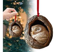 Ornement De Noël en Forme d'animal, Ornement en Acrylique 2D pour Sapin De Noël, Ornement à Suspendre,Raton Laveur Hibou écureuil hérisson Lapin (1Hibou)