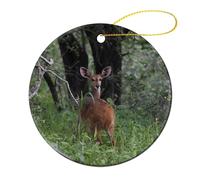 Ornement en Céramique 7.3CM, Antilope Afrique du Sud Animal Céramique À Suspendre Détachables Boule De Noëls Personnalisée Décoration d'arbre De Noël pour Home Decor Maison Fête