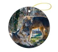 Ornement en Céramique 7.3CM, Les Loups Aiment Les Animaux Céramique À Suspendre Personnalisée Boule De Noëls Esthétique Ornements d'arbre De Noël pour Fête du Nouvel Fête Home Decor