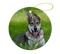 Ornement en Céramique 7.3CM, Portrait De Chien Animaux Chiot Céramique À Suspendre Détachables Ornements d'arbre De Noël Esthétique Pendentifs Décoration pour Maison Home Decor Fête
