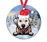 Ornement Noel Yorkshire Terrier Qui Jette Un Coup D'Œil avec Un Chapeau De Père Noël Rond Décoration De Sapin De Noël Créatif Pendentifs pour Fête Balcon Mur