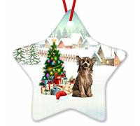 Ornement pour Sapin Chien Chinois À Crête Mignon Céramique Ornements De Noël, Arbre De Noël Ornements avec Ficelle