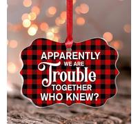 Ornement souvenir en forme de papillon en acrylique pour sapin de Noël avec inscription « We Are Trouble Together Who Knew »